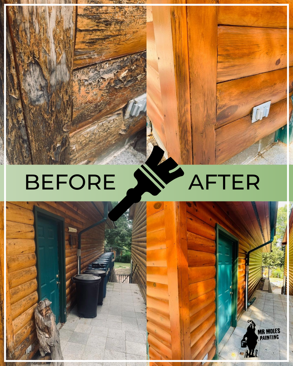 Exterior Painting for Mr. Mole's Painting in Bemidji, MN