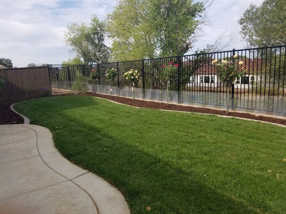 Garden Maintenance for New Vision Landscape in Folsom, CA