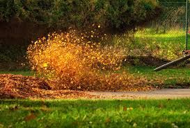 Leaf Blowing for Turf Titan in Lake City, FL