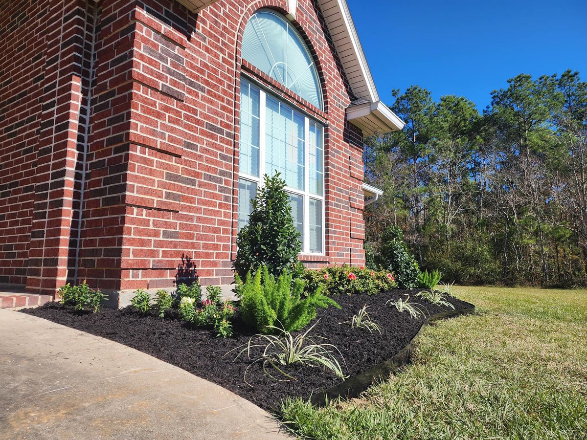 Shrub Trimming for Bruno's Professional Lawn's & Landscape in Beaumont, Texas