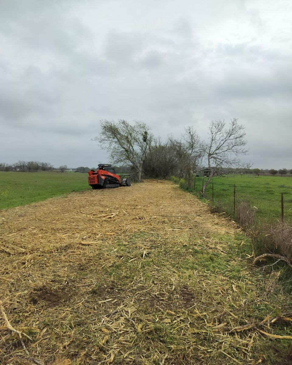 Land Clearing for 512 Land Clearing in Blanco County, TX