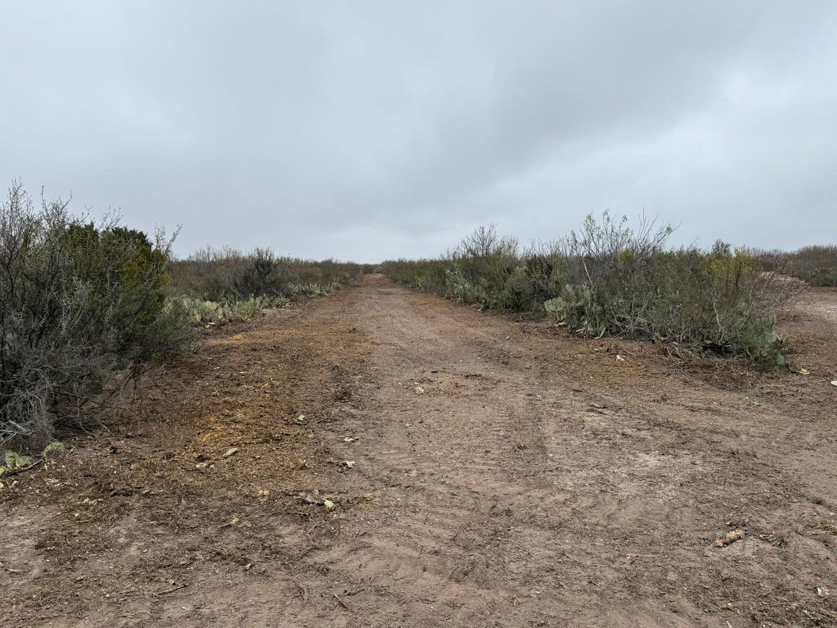 Site Work for Strause Land Improvement & Construction in George West, TX