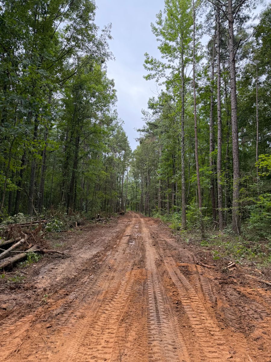 Land Clearing for Ross Excavation & Land Development in Middleton, TN