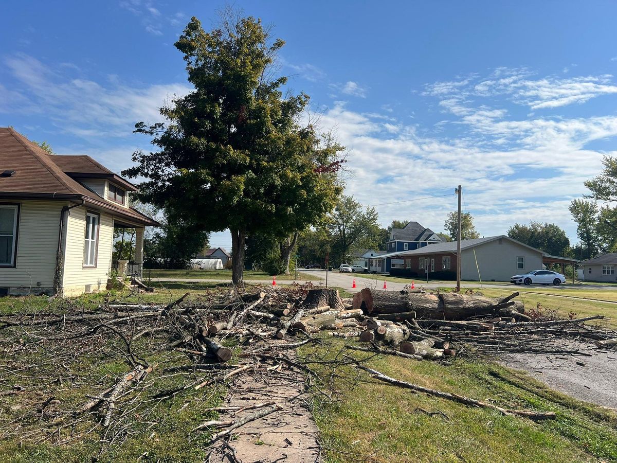 Stump Grinding for Baker Professional Services LLC in Shelbina, MO