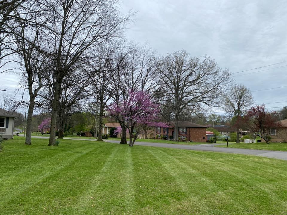 Mowing for Pro Lawn and Landscape in White Bluff, TN