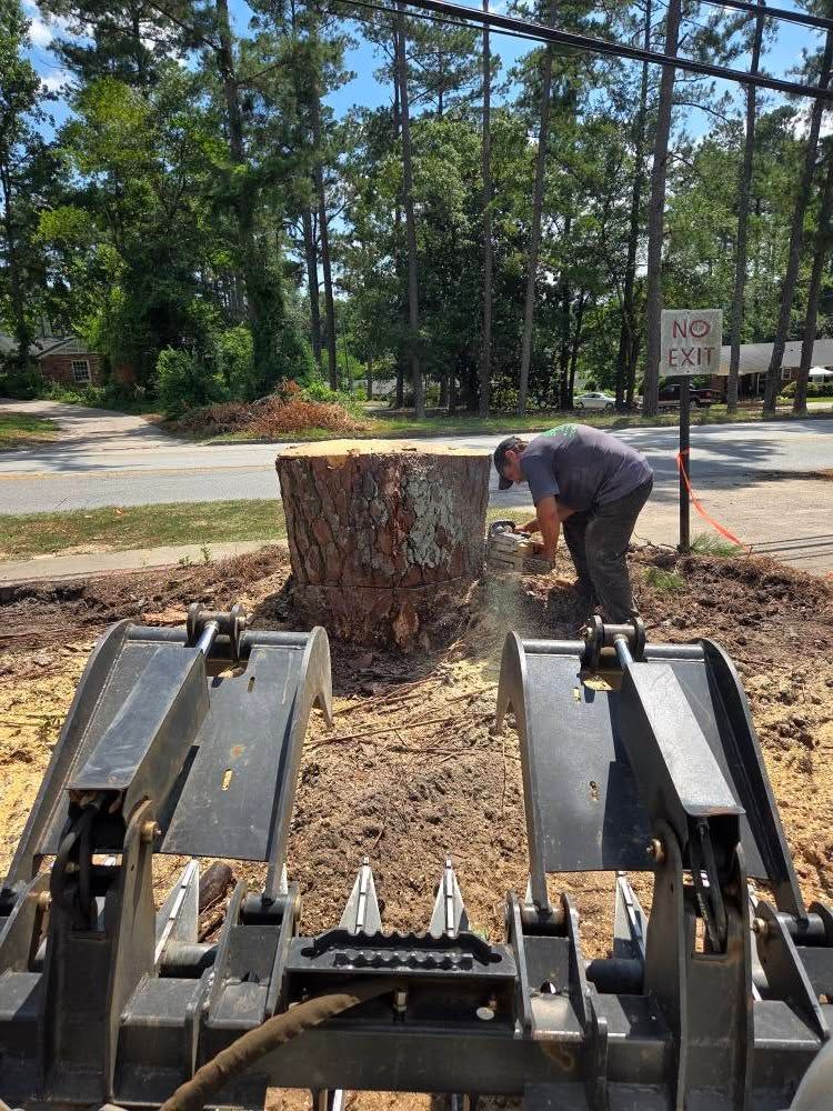 Tree Removal for Trees Unlimited of the CSRA in Augusta, GA