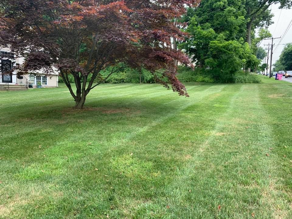 Mowing for Smittys Property Maintenance LLC in Wethersfield, Connecticut