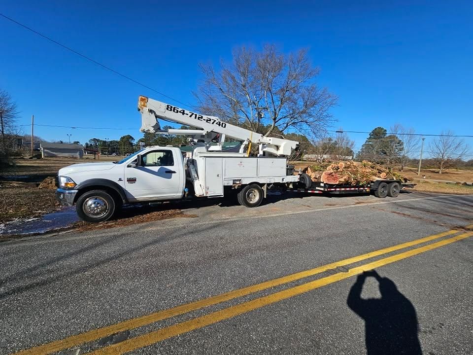 Tree Removal for O'Connor Clearing and Hauling LLC in Anderson County, SC