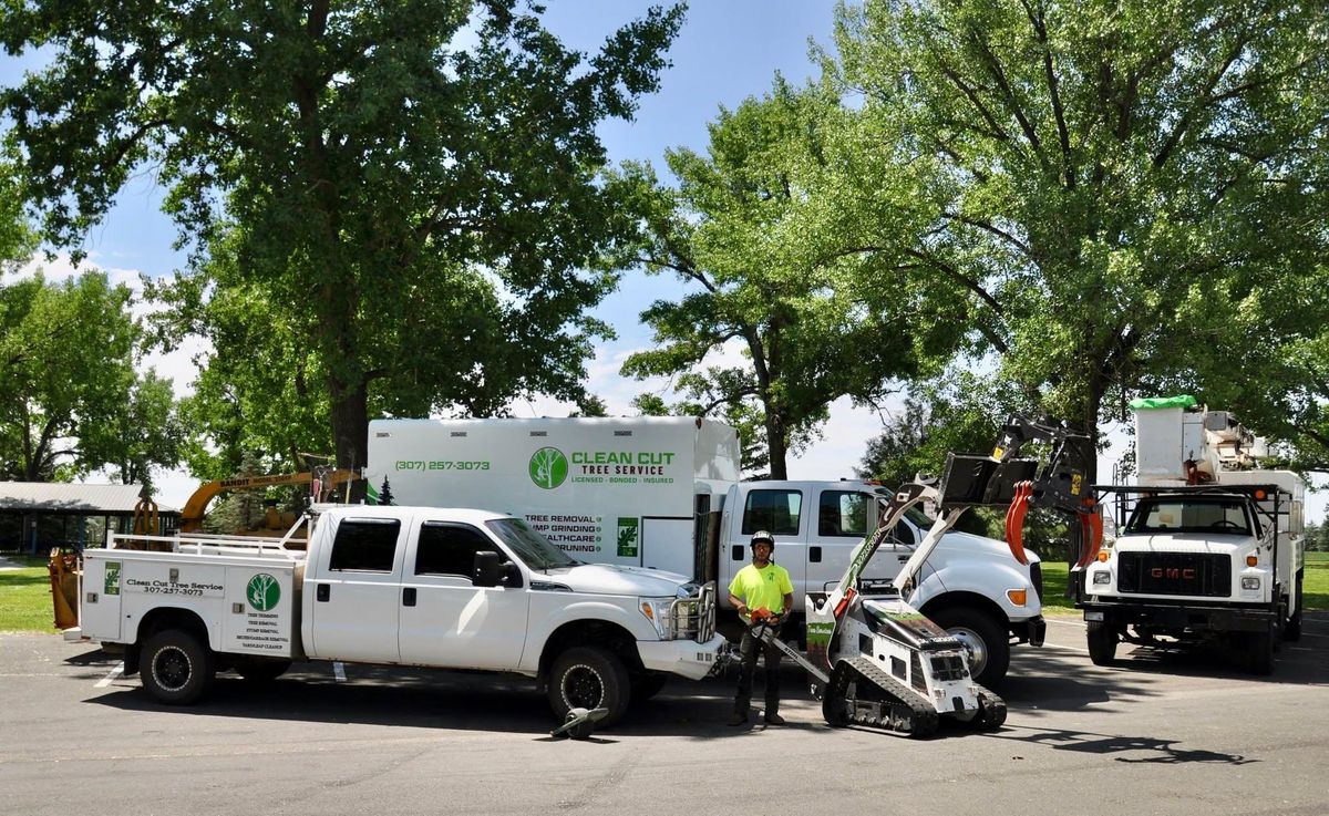 Tree Removal for Clean Cut Tree Service in Gillette, WY