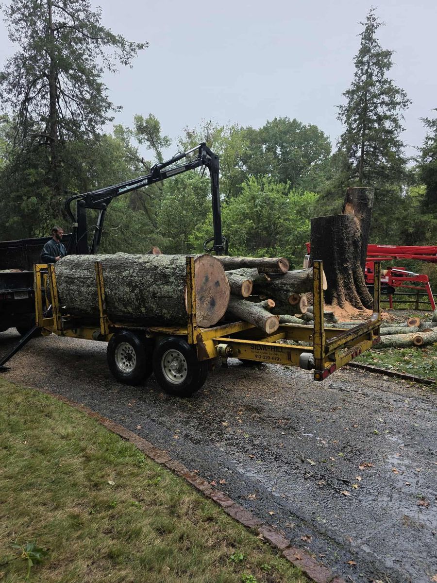 Tree Removal for Smith Tree Experts in Palmyra, VA