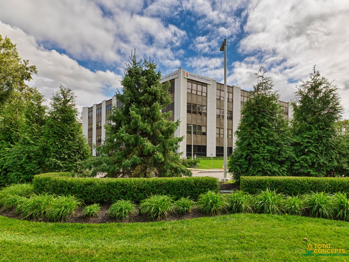 Premium Landscape Maintenance for  in Morristown, NJ