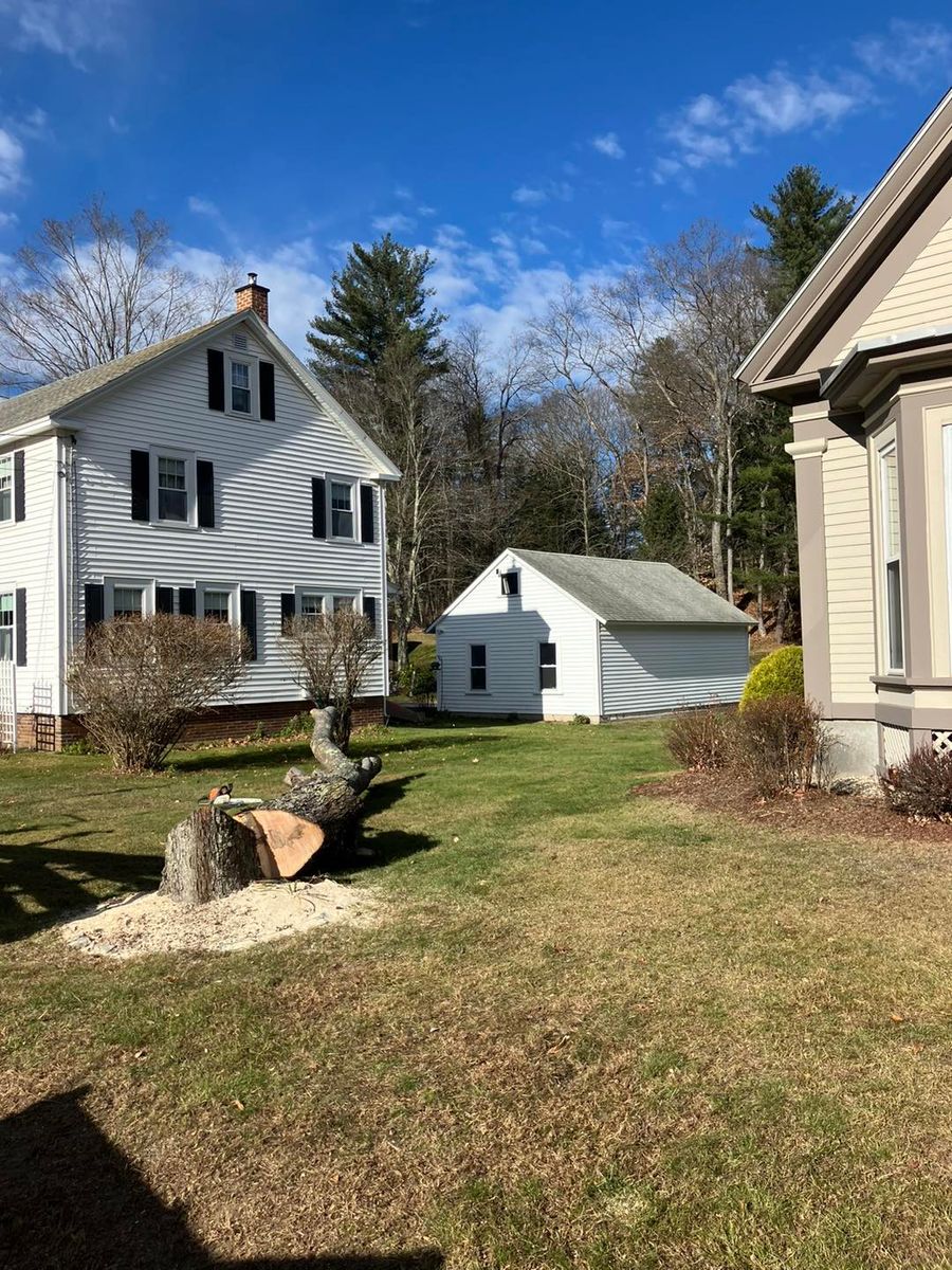 Tree Removal for Bruce's Removal Demolition and Tree Services in Gilsum, NH