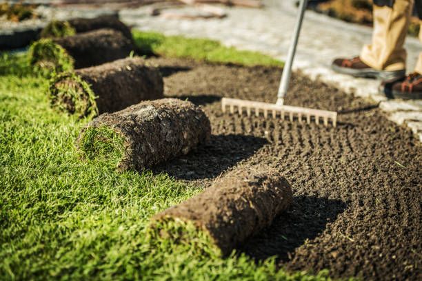 Turf installation for Louisville Earth Movers in Crestwood, KY