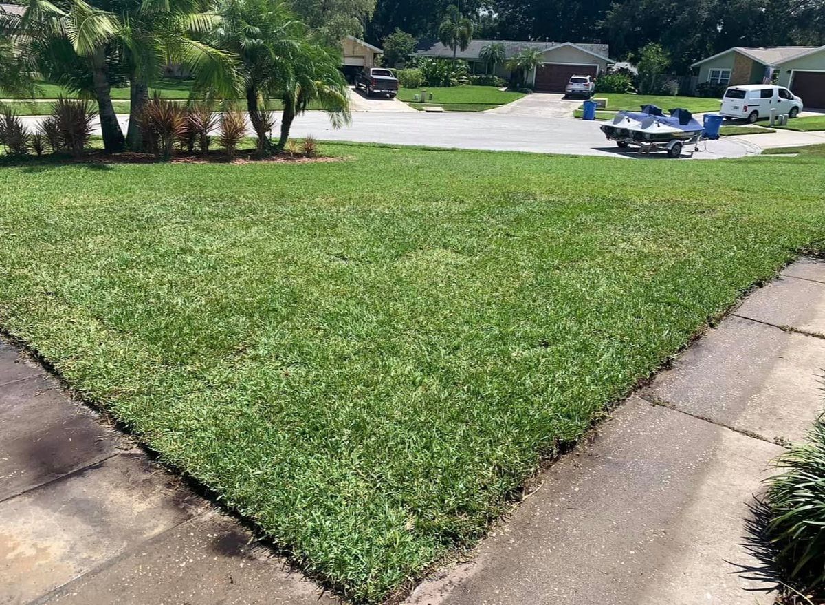 Sod Installs for Team Tolson Landscape in Tampa Bay, FL