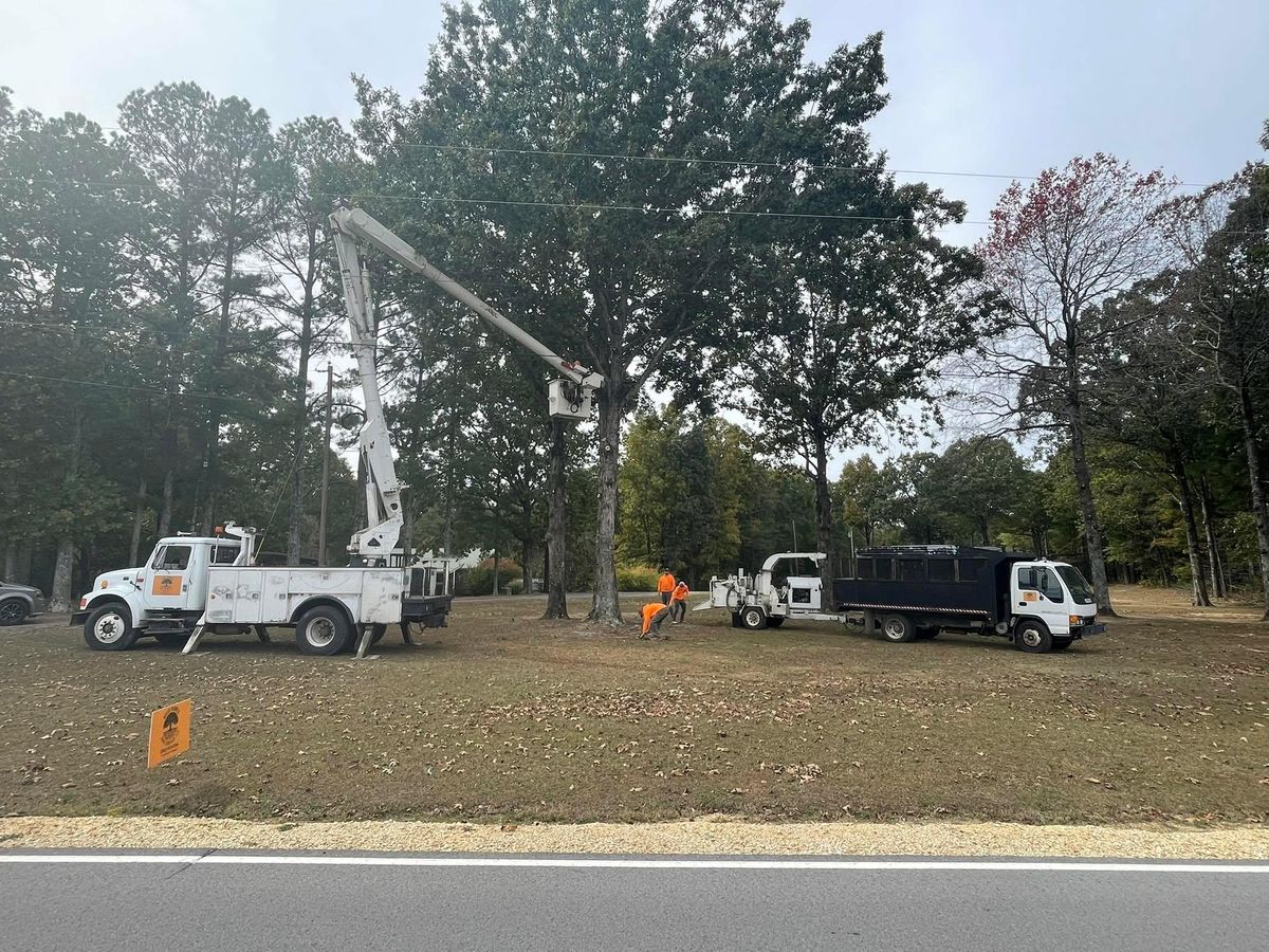 Tree Trimming for Ross Family Tree Service LLC  in Hohenwald, TN