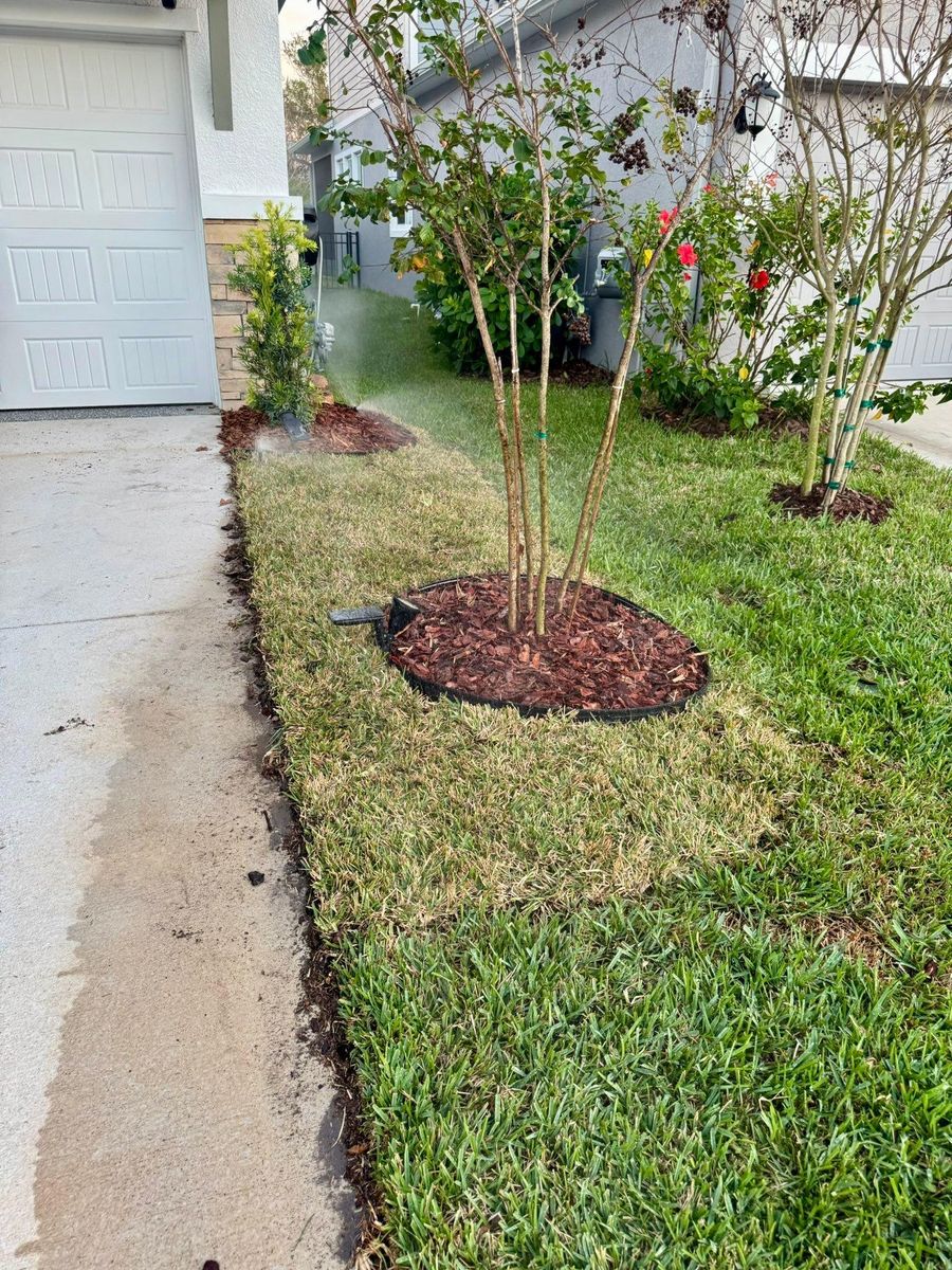 Landscaping for Shoreside Property Services in Apollo Beach, FL