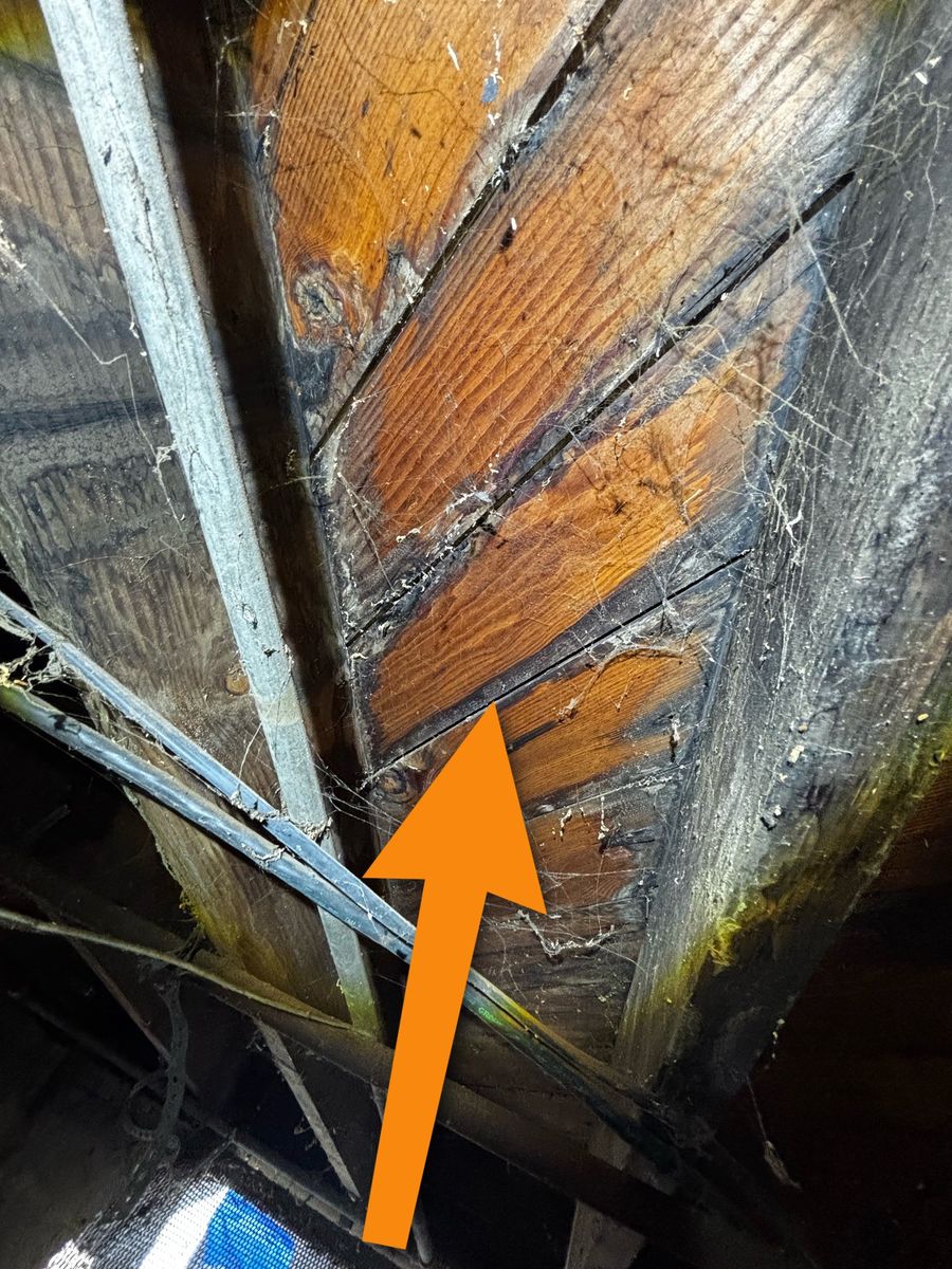 Home Inspections for Lira Home Inspections in Concord, CA