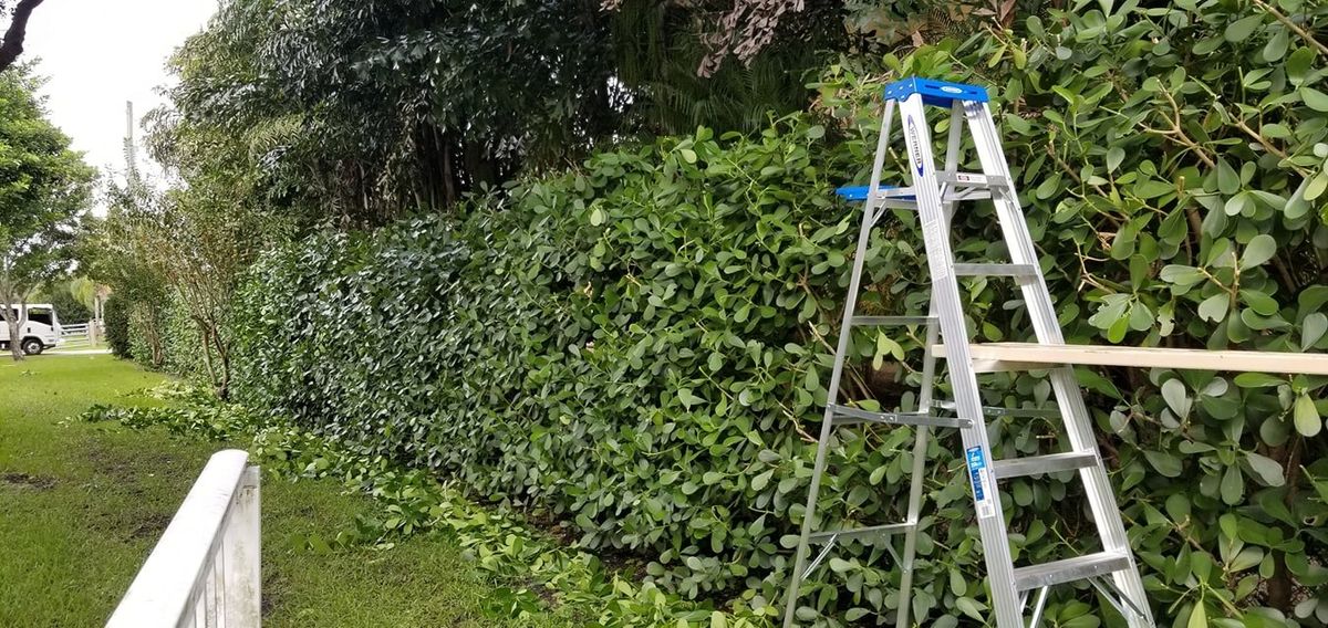 Shrub Trimming for Natural View Landscape, Inc.  in Loxahatchee, FL