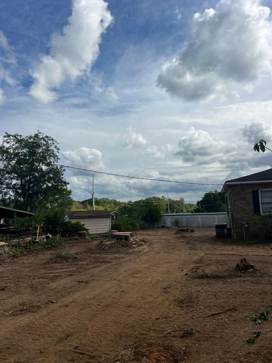 Fall Clean Up for Brooks Tree Service, LLC in Casar, NC