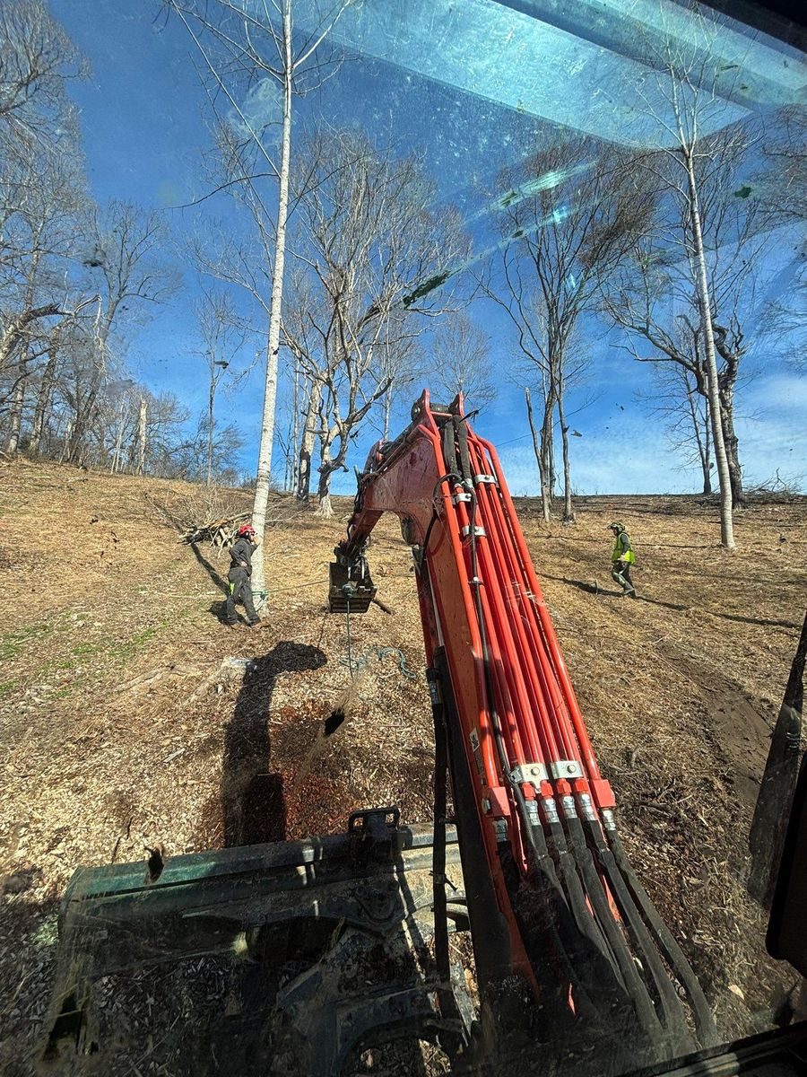 Forestry Mulching for TD Dirtworks in Tracy City, TN