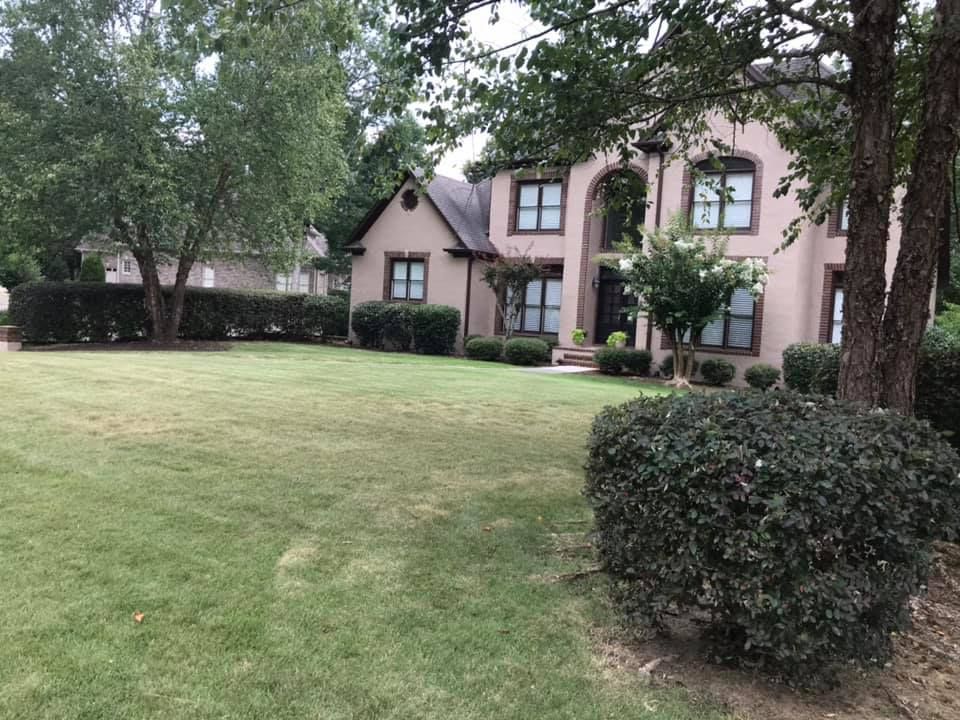 Lawn Transformation for Jt's Landscaping in Webb, AL