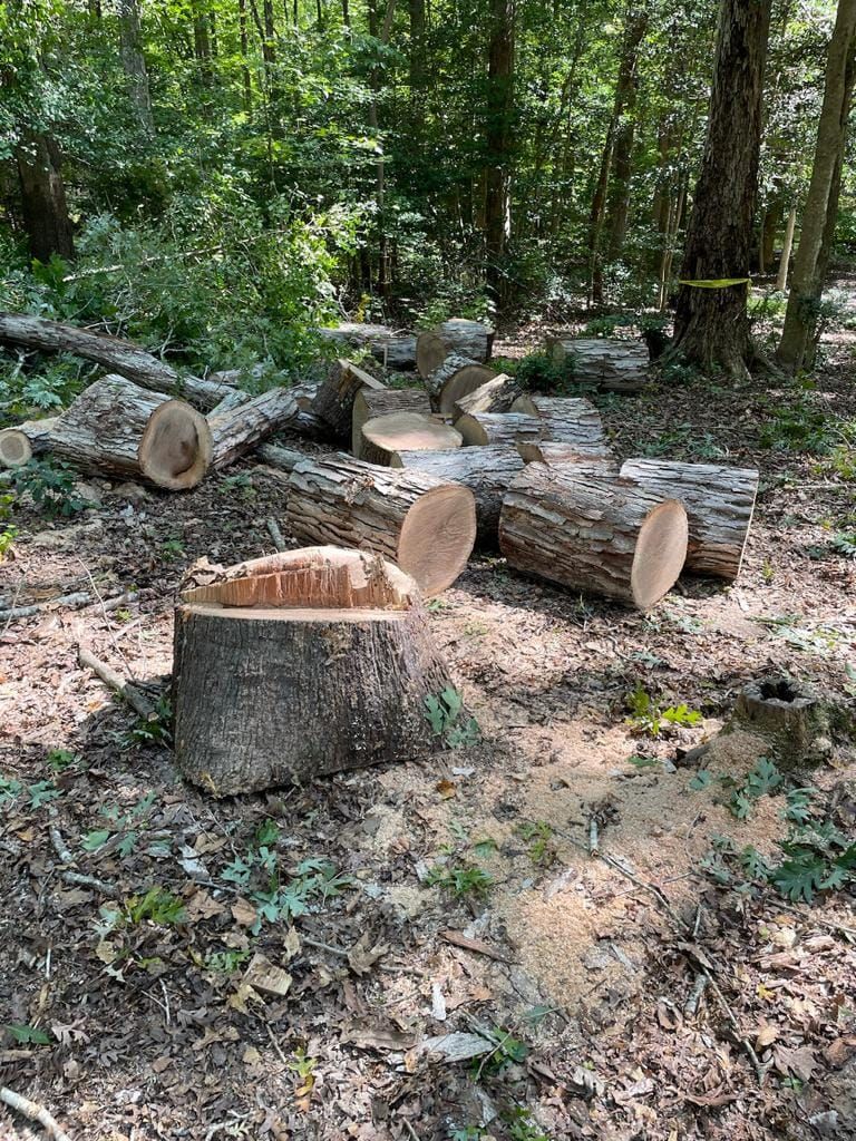 Stump Removal for Rosales Landscaping LLC in Lake Gaston, North Carolina