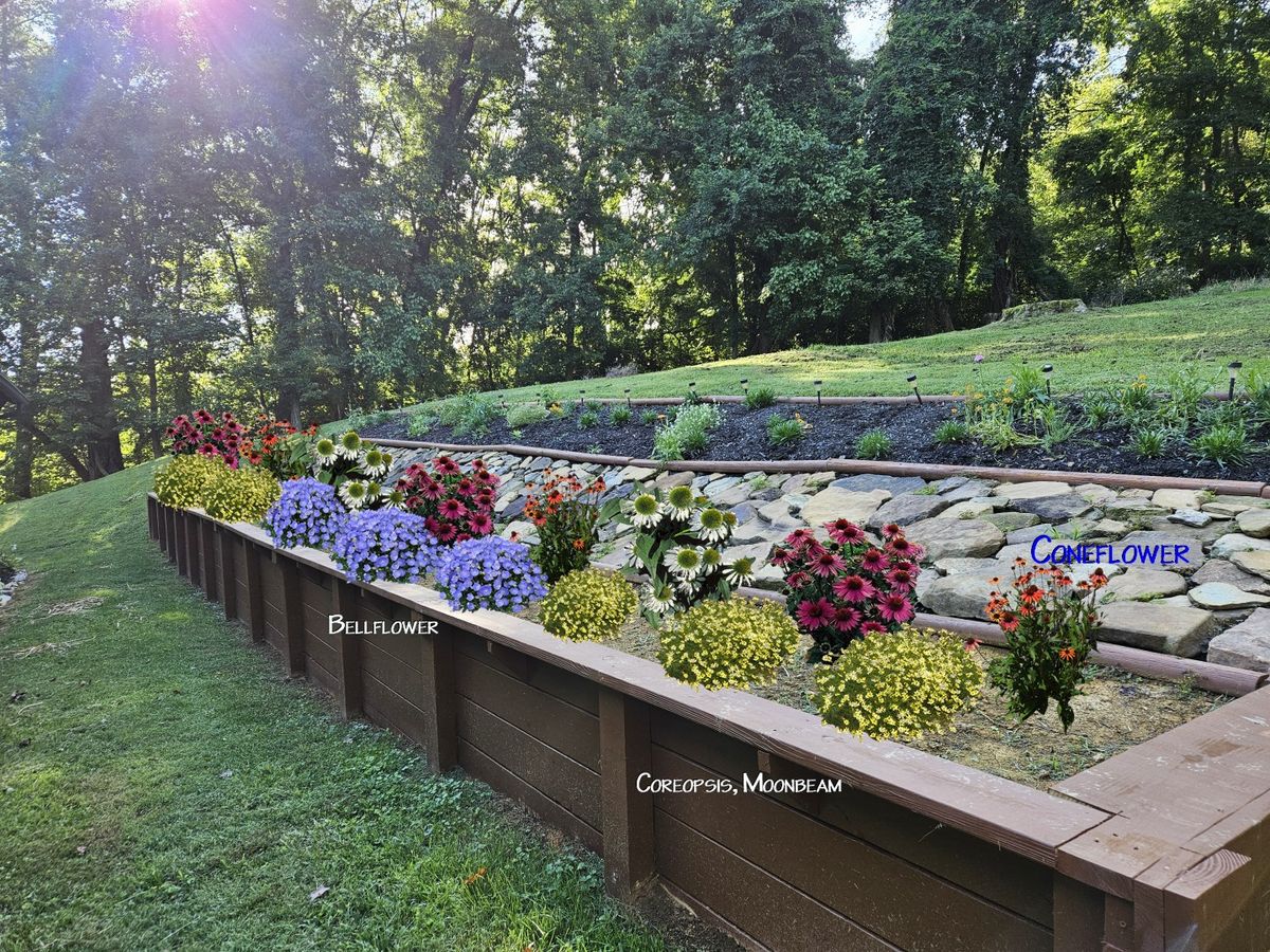 Garden and Planting Plans for Simply Natural Landscape in Abingdon, VA