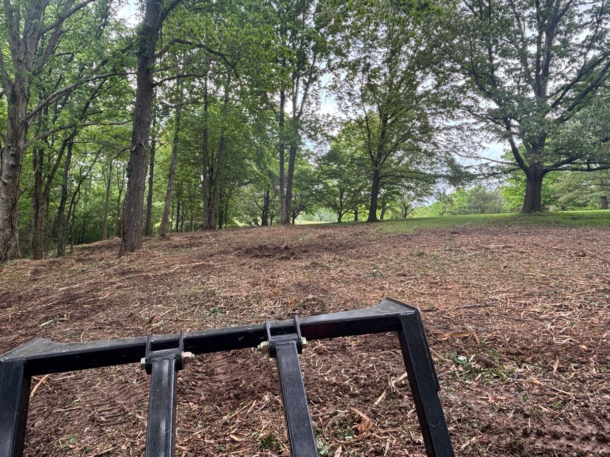 Land Clearing for Gregory Grass and Lawn in Lafayette, TN
