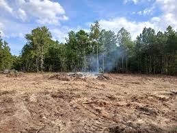 Debris Clean Up for Rogers Land Services in Hawkinsville, GA