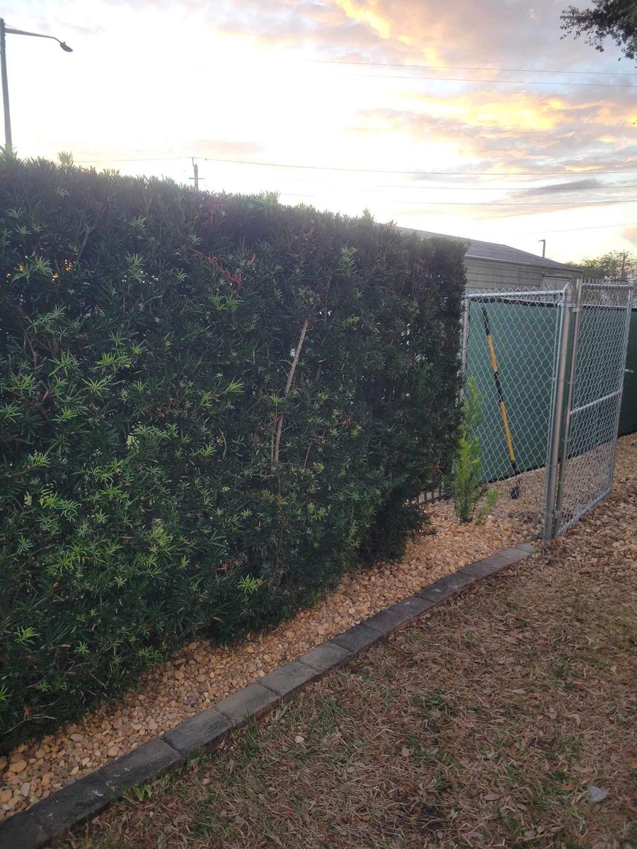 Lawn Maintenance for Space Coast Property Maintenance and Management LLC in Melbourne, FL