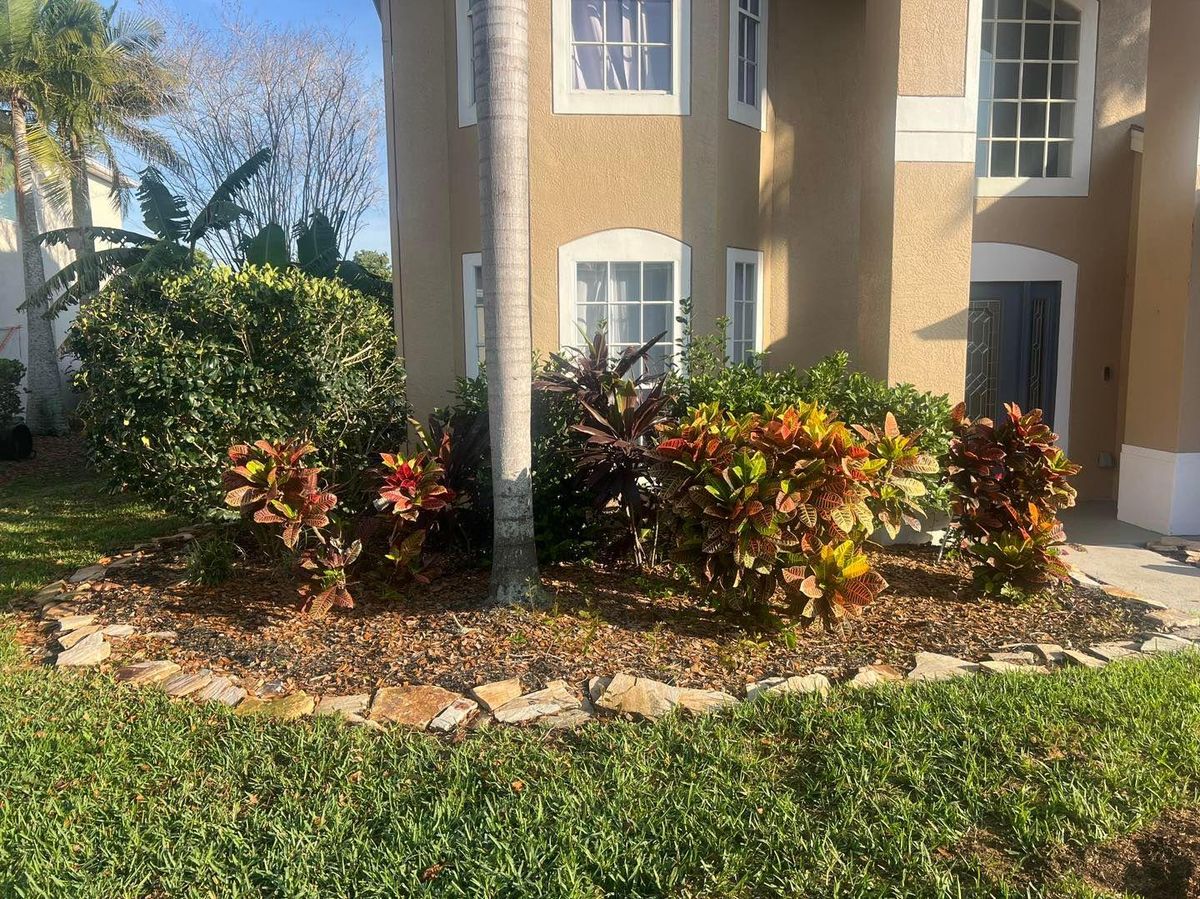 Shrub, Hedge and Small Tree Trimming for Florida Pro Turf in  Viera, FL