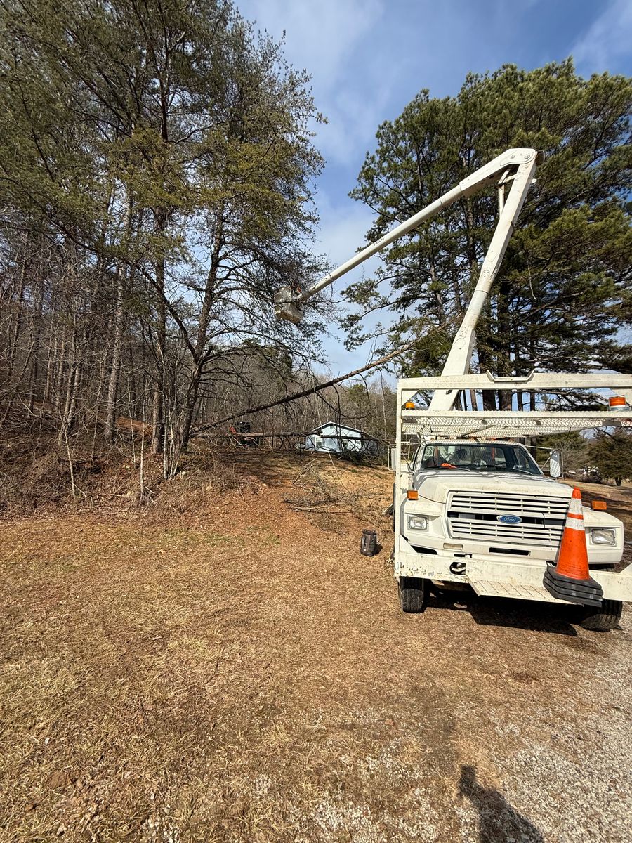 Tree Trimming for Lucky’s Tree Removal and Landscape Services in Clinton, TN