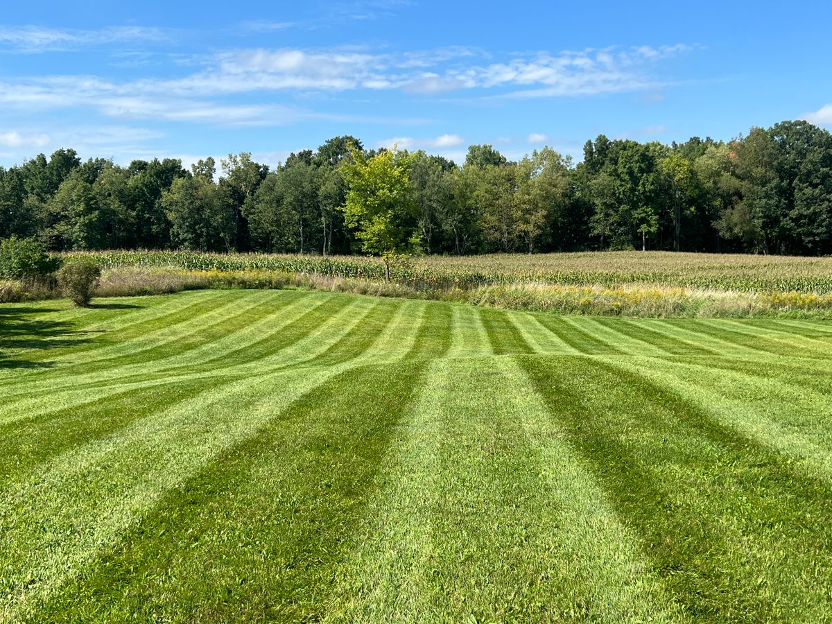 Lawn Aeration for Hammond Landscape in Okemos, MI