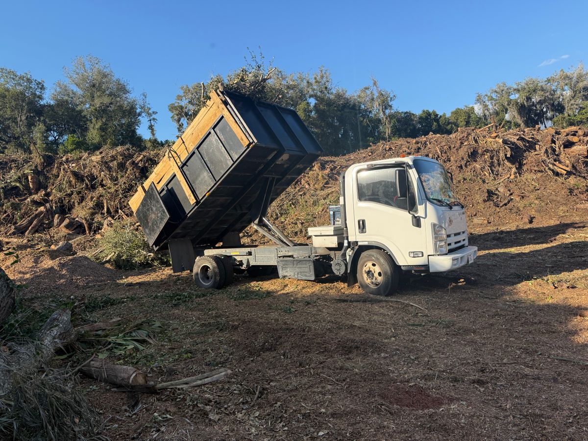 Fall Clean Up for Amerigrown Tree And Lawn in Apopka, FL