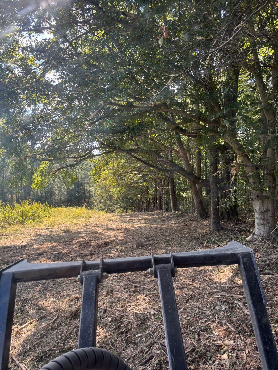 Land Clearing for Gregory Grass and Lawn in Lafayette, TN