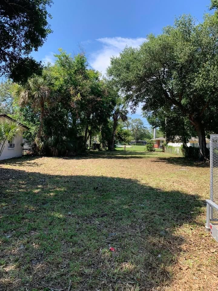 Tree Removal for Space Coast Property Maintenance and Management LLC in Brevard County, FL