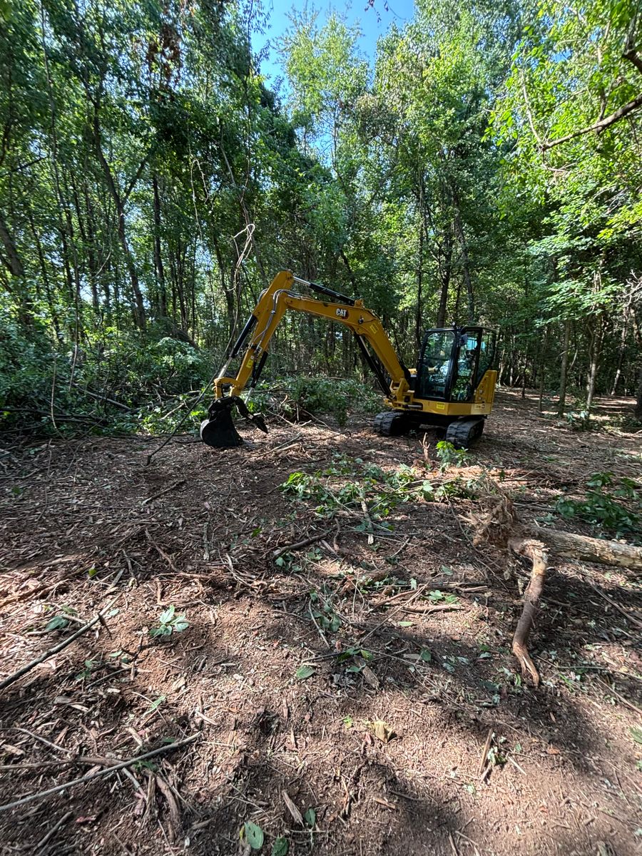 Land Clearing for Schrock’s Land Management in Northern Virginia, Shenandoah Valley, VA