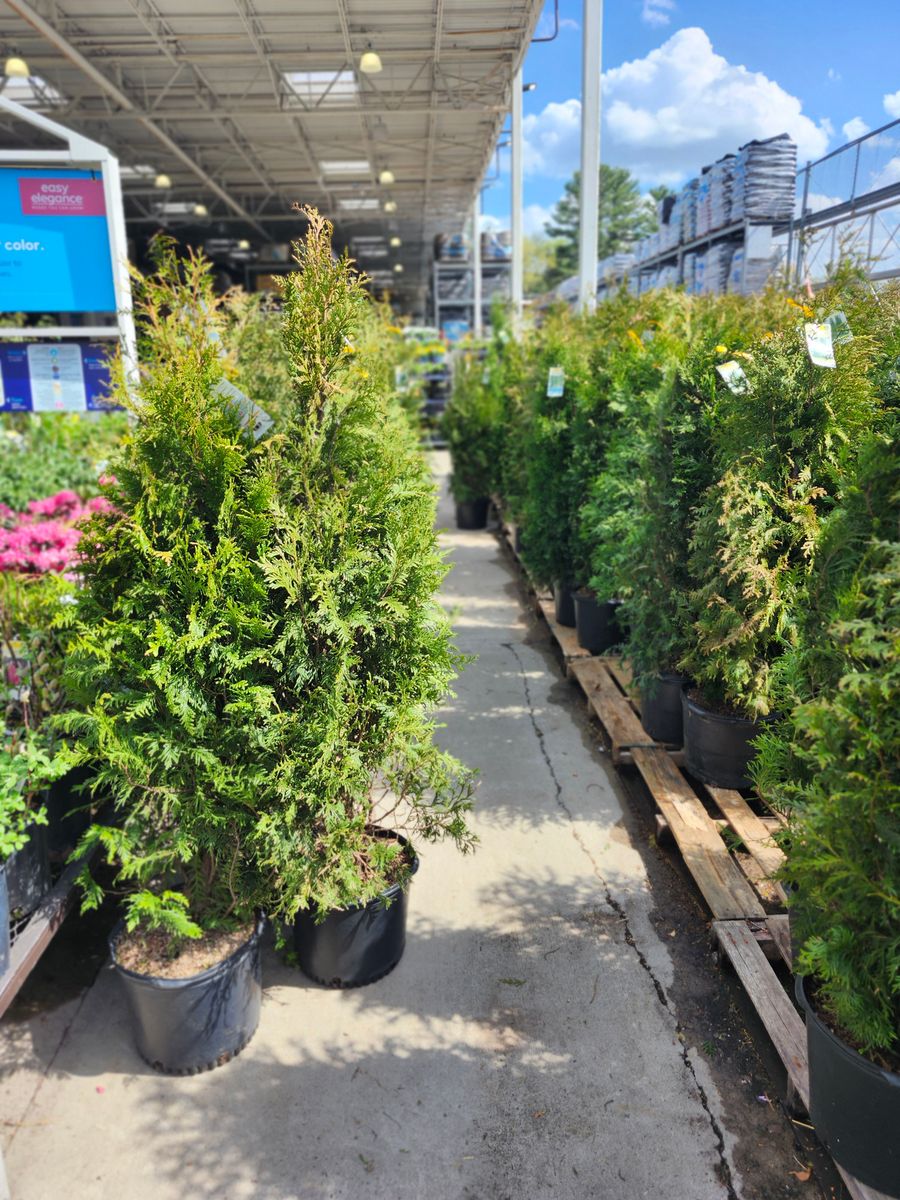 Landscape Installation for Landscape Innovations LLC in Torrington, CT