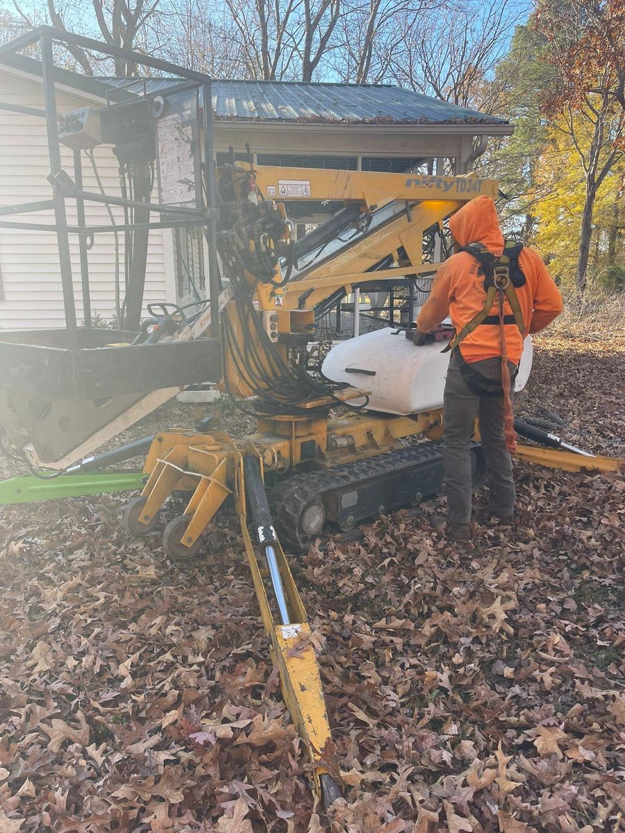 Tree Removal for Ross Family Tree Service LLC  in Hohenwald, TN