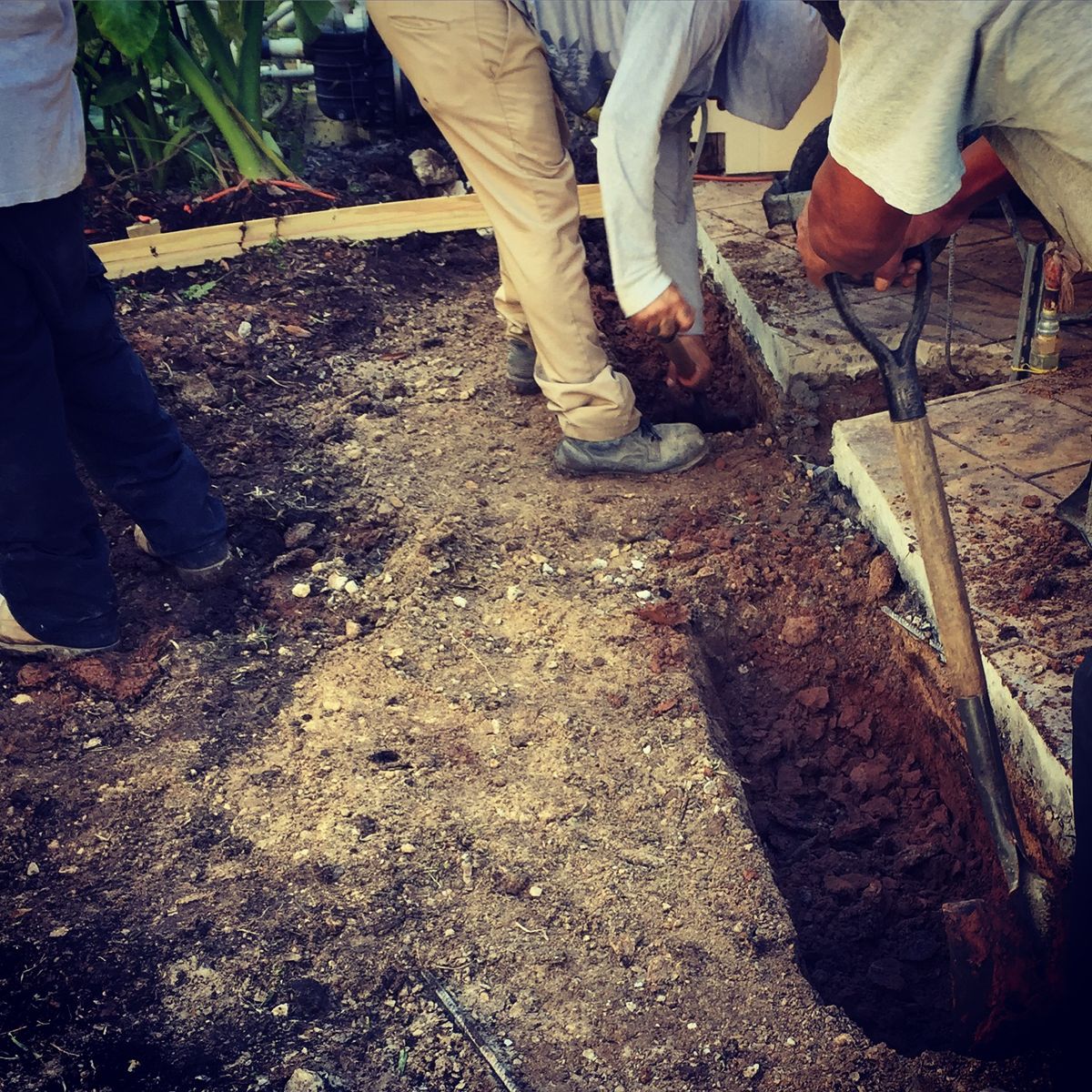 Concrete for Texas Curb N Borders in Houston, TX