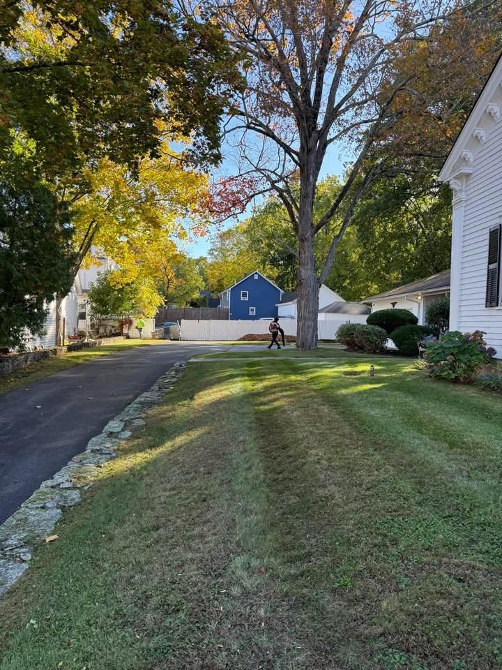 Shrub Trimming for Navedo’s Lawn Care LLC in Putnam, CT