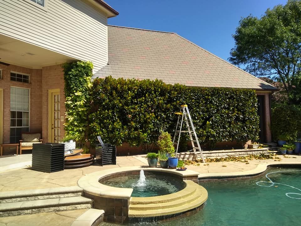 Tree & Shrub Care for Green City Landscape and Lawn Care LLC in Mesquite, TX