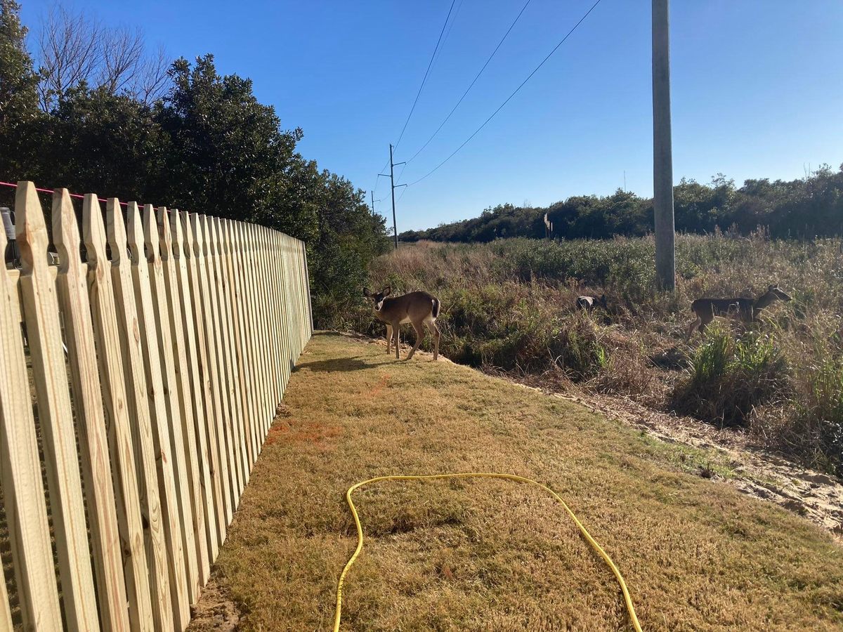 Other Services for Sea Level Fence in Virginia Beach, VA