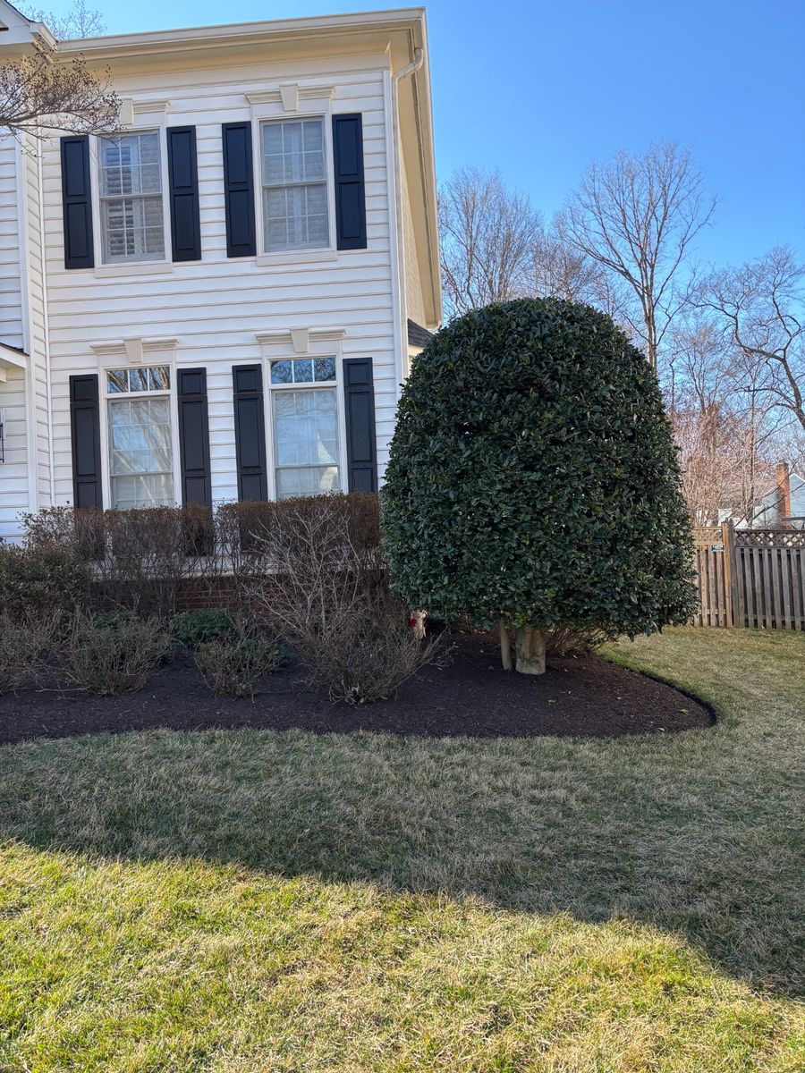 Landscape Installation for R Merkli Inc. in Mount Vernon , VA