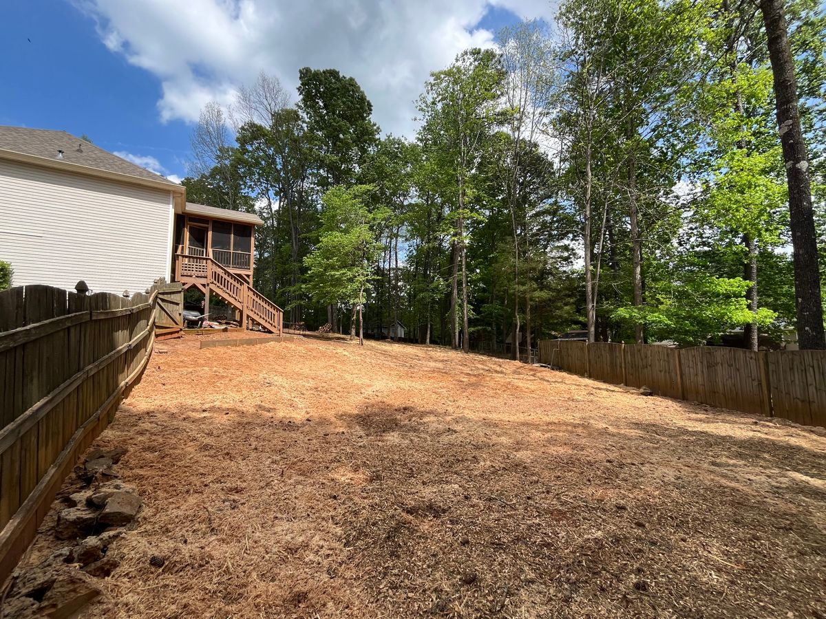 Tree Removal for J&M Stump Grinders LLC in Douglasville, GA