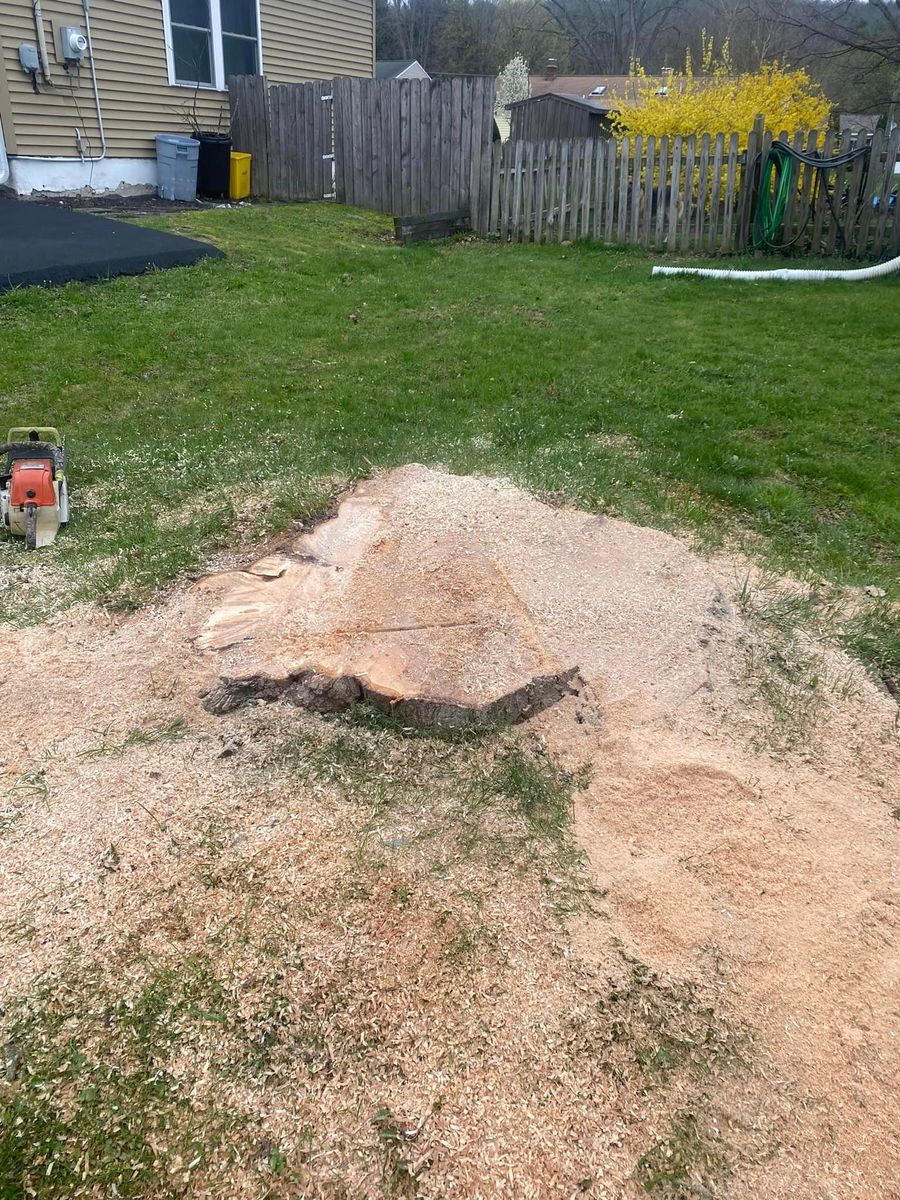 Stump Removal for Licensed to Cut in Athens, PA