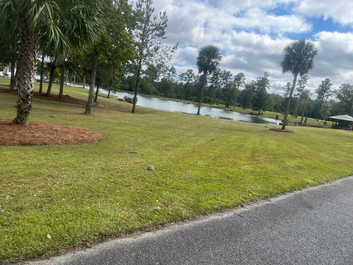 Land Clearing for Golden Isles Greenery in Brunswick, GA