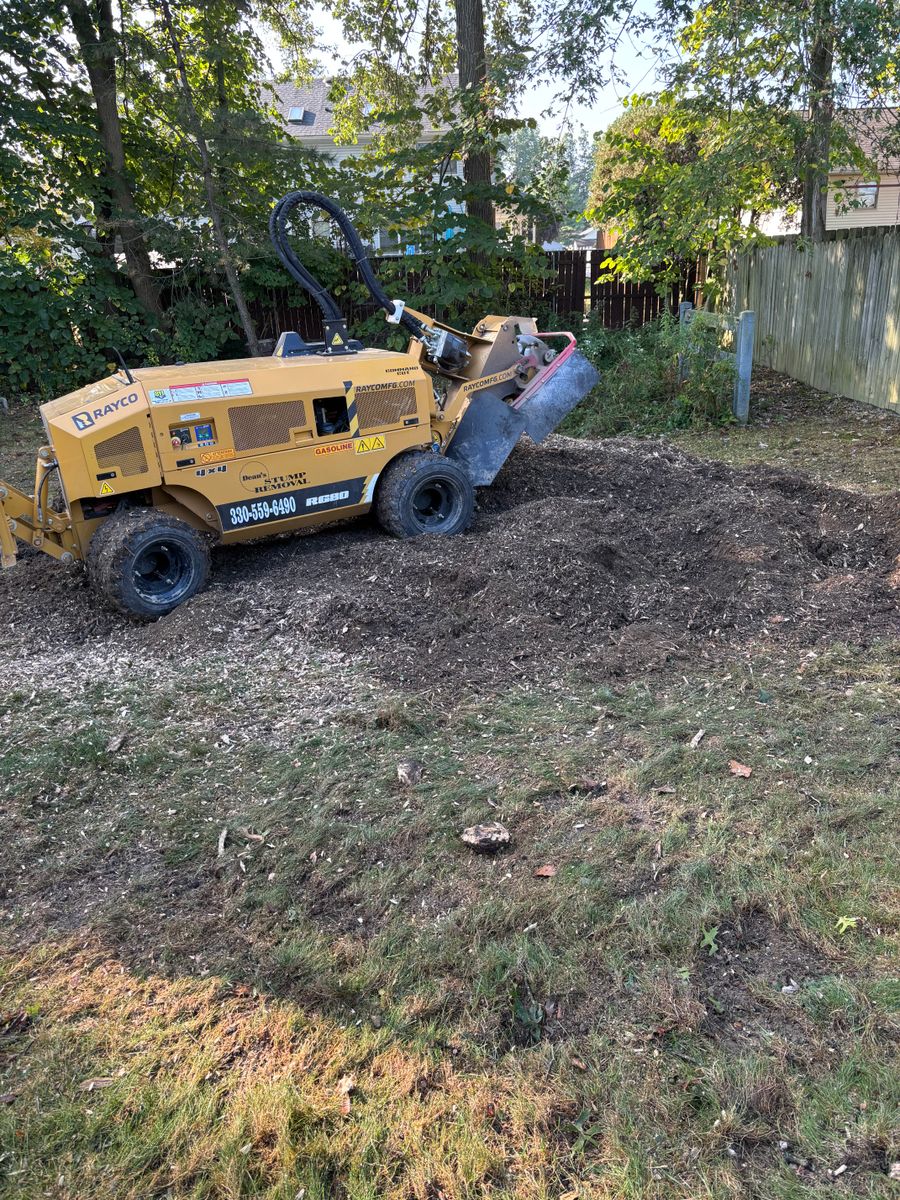 Stump Removal for Dean's Stump Removal in Youngstown, OH