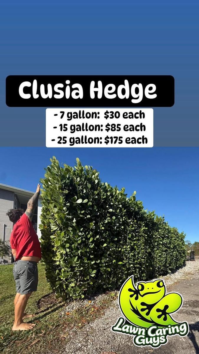 Landscape Design & Installation for Lawn Caring Guys in Cape Coral, FL