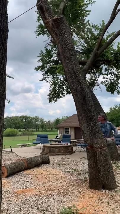 Tree Removal for Marks Tree Service in Fort Worth, TX